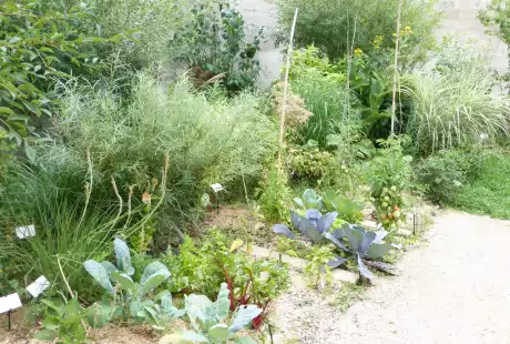 140722_jardin_labo-savart_paysage_experience_vegetale_jardinage_permaculture