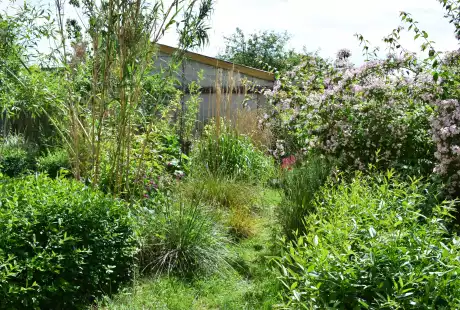 170522_jardin_labo-savart_paysage_experience_vegetale_jardinage_permaculture