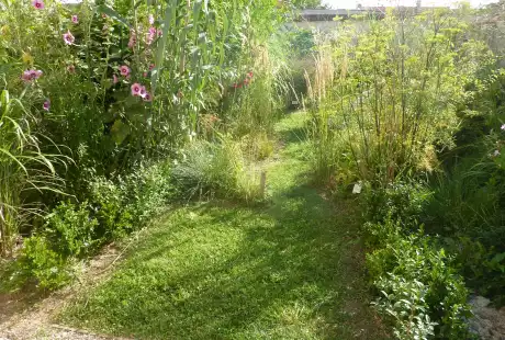 120802_jardin_labo-savart_paysage_experience_vegetale_jardinage_permaculture