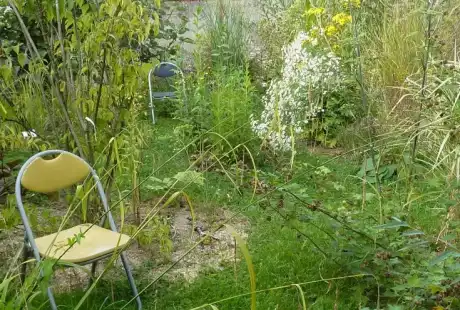 110915_jardin_labo-savart_paysage_experience_vegetale_jardinage_permaculture