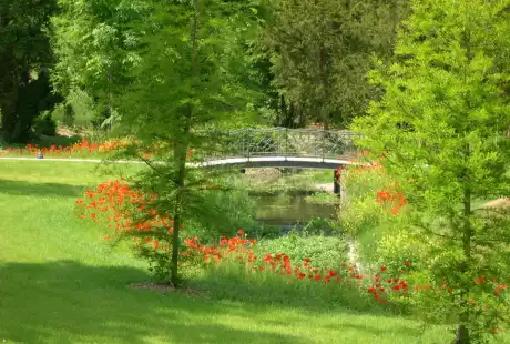 Savart paysage – landscape designer – urban planner – Courtisols – Marne – Grand est – Massez’s Park – historic park – public park – sustainable development - biodiversity