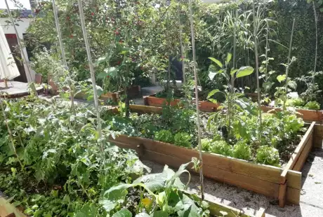 Savart Paysage - paysagiste urbaniste – permaculture – urban farming – private garden – vegetable garden – soil life – Châlons-en-Champagne – Marne – Grand Est