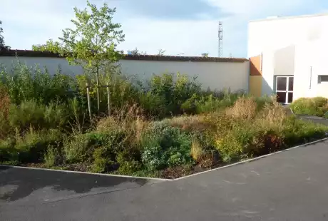 Savart Paysage – Reims – groupe scolaire Dauphinot - urbaniste paysagiste – biodiversité - développement durable – jardins d’application