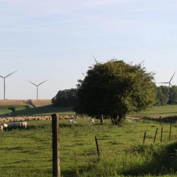 Éolien : Volet paysager de l'étude d'impact "Ville et energie partage 3" - 5 éoliennes