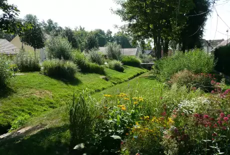 Savart paysage – landscape designer - urban planner – Sézanne – Marne – Grand Est – public spaces – garden and architecture – public park – management plan – adapted management – sustainable development - biodiversity