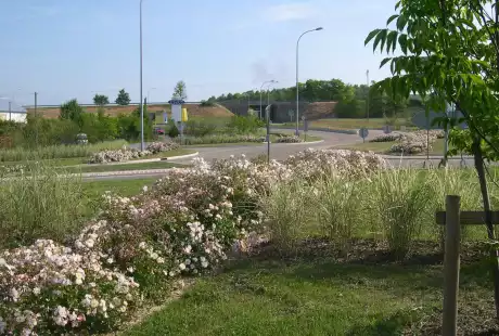 Savart Paysage – paysagiste urbaniste -  Sézanne – Marne – Grand Est – espaces publics - jardin et architecture - parc public – entretien – plan de gestion - gestion différenciée - développement durable – biodiversité