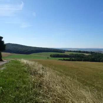 Projet éolien dans la Vôge Saônaise