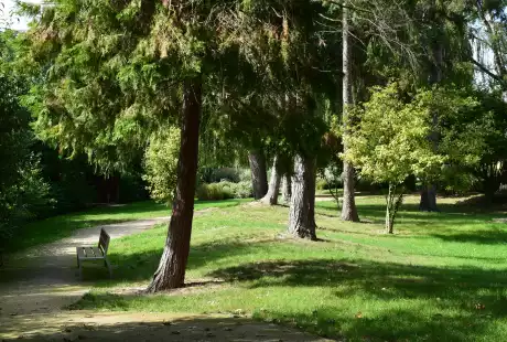 Savart Paysage – urbaniste paysagiste  -Saint-Brice-Courcelles – Marne – Grand Est – parc public – développement durable – aménagement durable - biodiversité