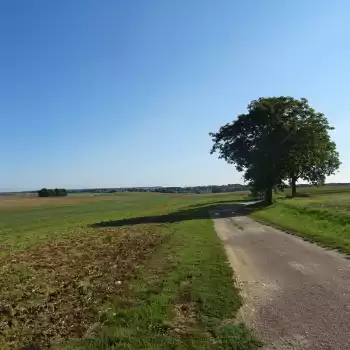 Projet éolien dans la Brie de Provins