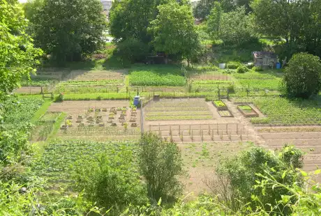 Savart Paysage – paysagiste urbaniste – Châlons-en-Champagne – Marne –Grand Est – Frange urbaine – développement durable – biodiversité – jardins ouvriers