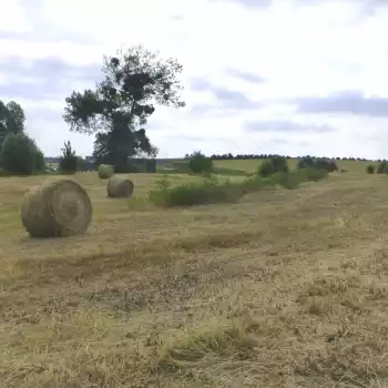 Modelé paysager de la zone d'activité de l'Ormelot