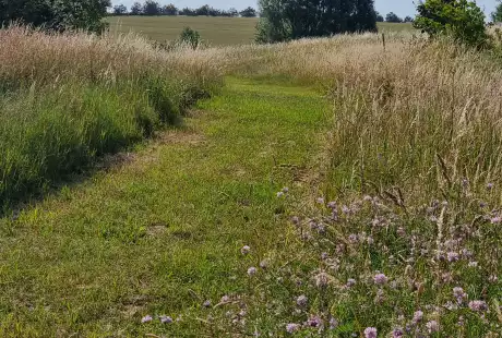 Sézanne – Savart Paysage – sustainable development – natural area – stream of Auges