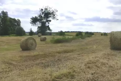 Sézanne – Savart Paysage – sustainable development – natural area – stream of Auges