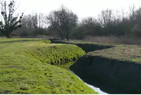 Sézanne – Savart Paysage – sustainable development – natural area – stream of Auges