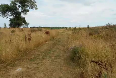 Sézanne – Savart Paysage – sustainable development – natural area – stream of Auges