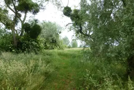 Sézanne - Savart Paysage - développement durable - zone naturelle - ru des auges