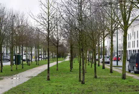 Savart Paysage – Reims – quartier Dauphinot - urbaniste paysagiste – biodiversité - développement durable – corridor écologique