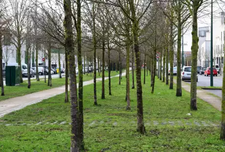 Savart Paysage – Reims – quartier Dauphinot - urbaniste paysagiste – biodiversité - développement durable – corridor écologique