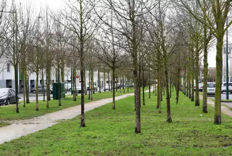 Savart Paysage – Reims – quartier Dauphinot - urbaniste paysagiste – biodiversité - développement durable – corridor écologique