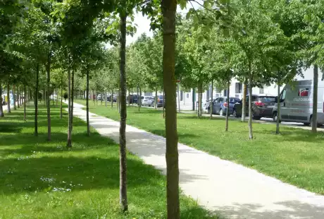 Savart Paysage – Reims – quartier Dauphinot - urbaniste paysagiste – biodiversité - développement durable – corridor écologique