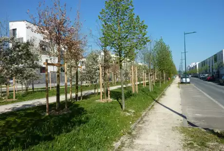 Savart Paysage – Reims – quartier Dauphinot - urbaniste paysagiste – biodiversité - développement durable – corridor écologique