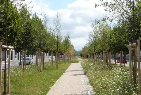 Savart Paysage – Reims – quartier Dauphinot - urbaniste paysagiste – biodiversité - développement durable – corridor écologique