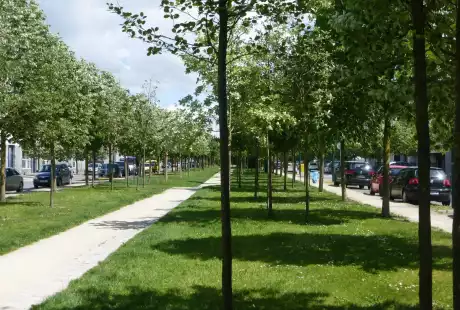 Savart Paysage – Reims – quartier Dauphinot - urbaniste paysagiste – biodiversité - développement durable – corridor écologique